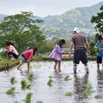 田植え体験募集中！　川代棚田2025年5月3日（祝）